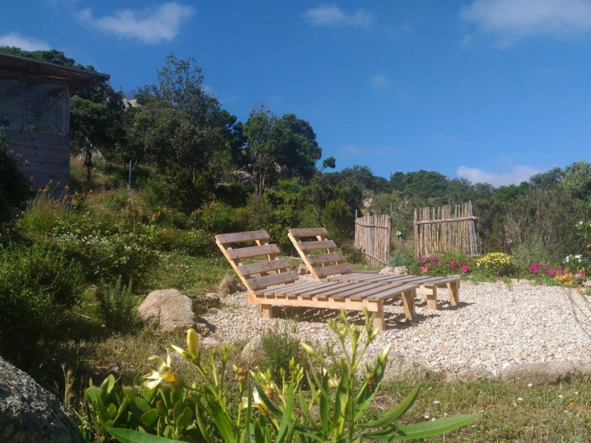 La Cera Farm Camping B&B Santa Teresa Gallura Dış mekan fotoğraf