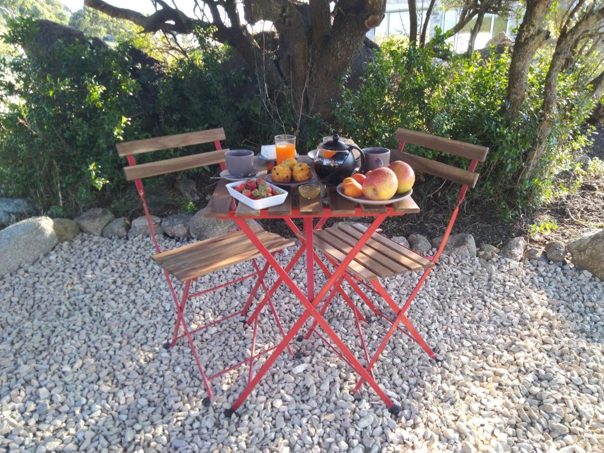 La Cera Farm Camping B&B Santa Teresa Gallura Dış mekan fotoğraf