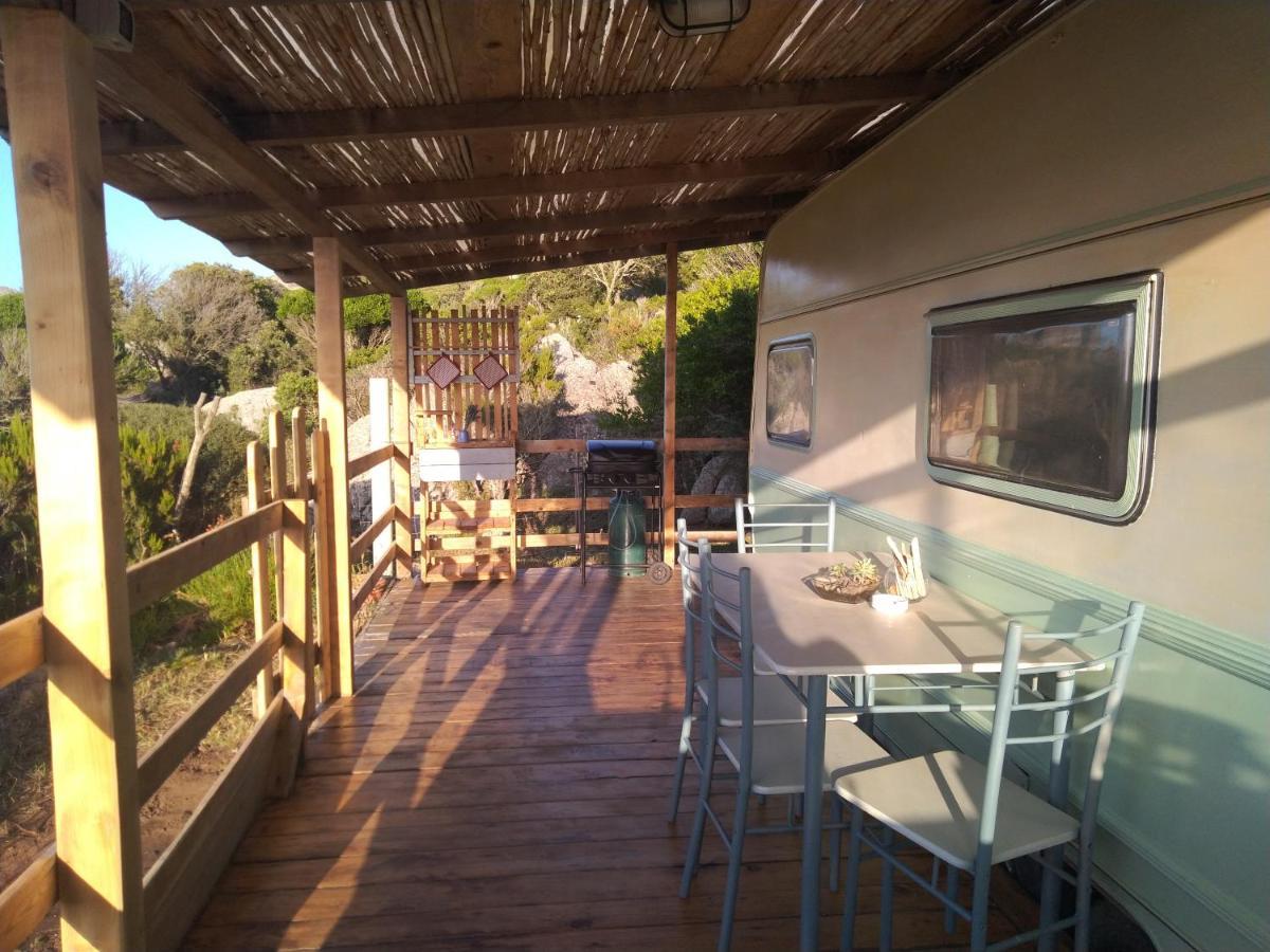 La Cera Farm Camping B&B Santa Teresa Gallura Dış mekan fotoğraf