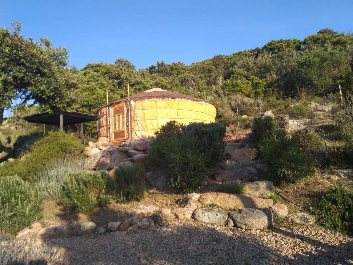 La Cera Farm Camping B&B Santa Teresa Gallura Dış mekan fotoğraf