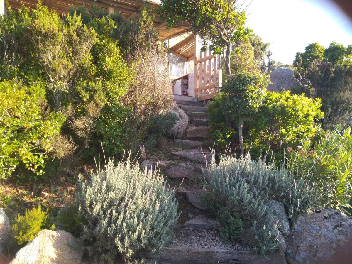 La Cera Farm Camping B&B Santa Teresa Gallura Dış mekan fotoğraf