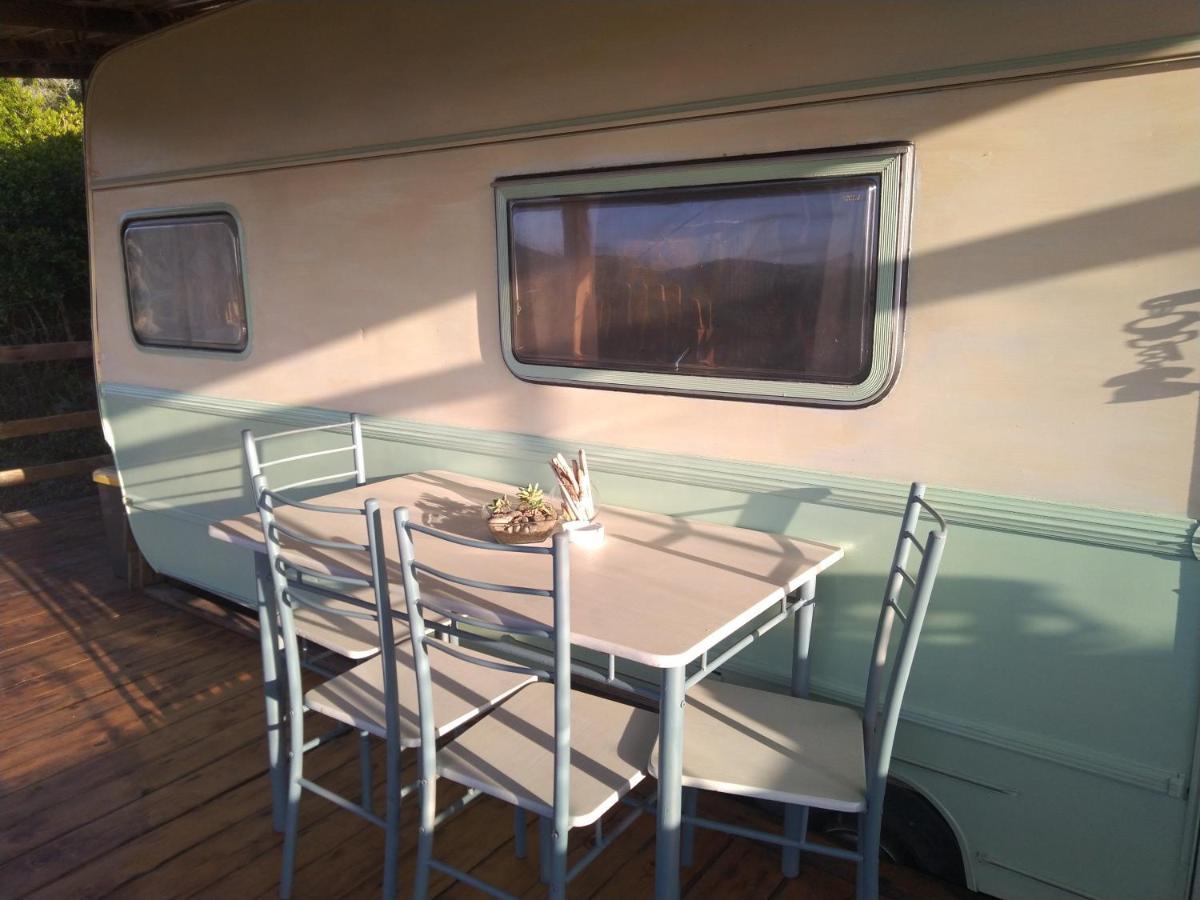 La Cera Farm Camping B&B Santa Teresa Gallura Dış mekan fotoğraf