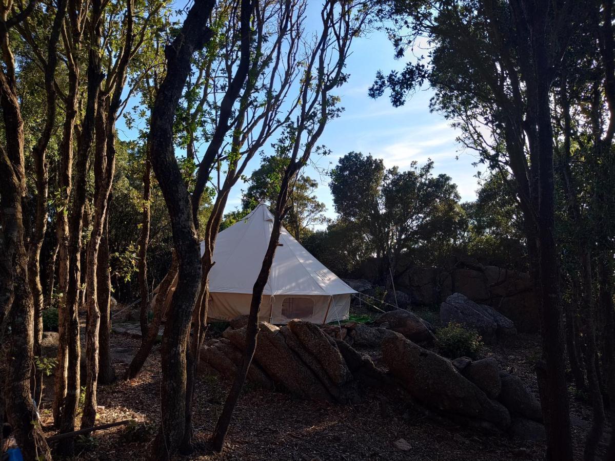 La Cera Farm Camping B&B Santa Teresa Gallura Dış mekan fotoğraf