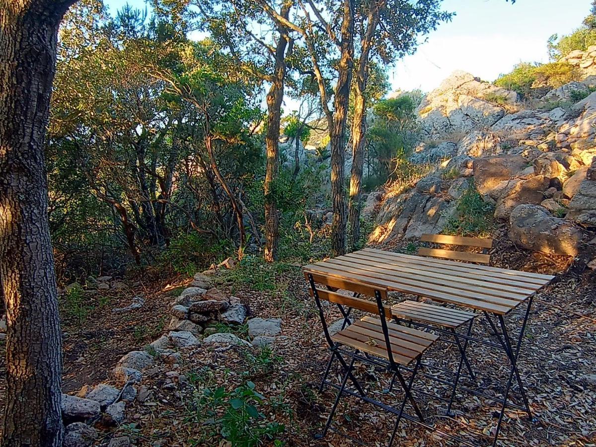 La Cera Farm Camping B&B Santa Teresa Gallura Dış mekan fotoğraf