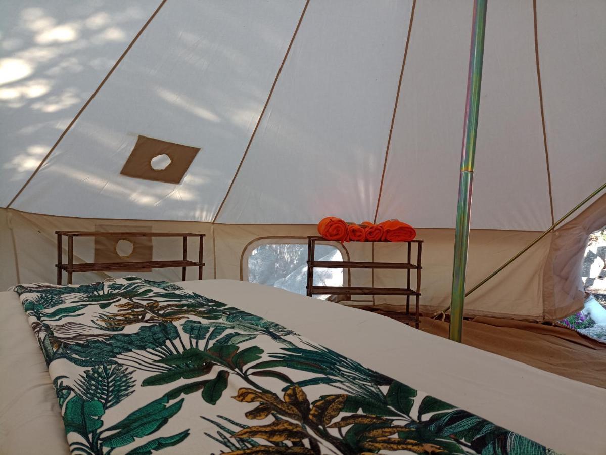 La Cera Farm Camping B&B Santa Teresa Gallura Dış mekan fotoğraf