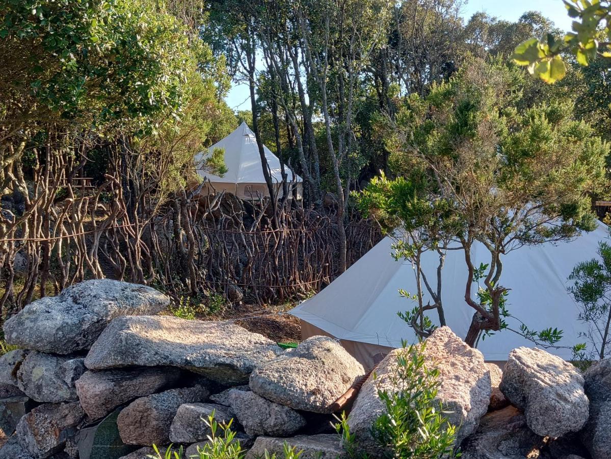 La Cera Farm Camping B&B Santa Teresa Gallura Dış mekan fotoğraf