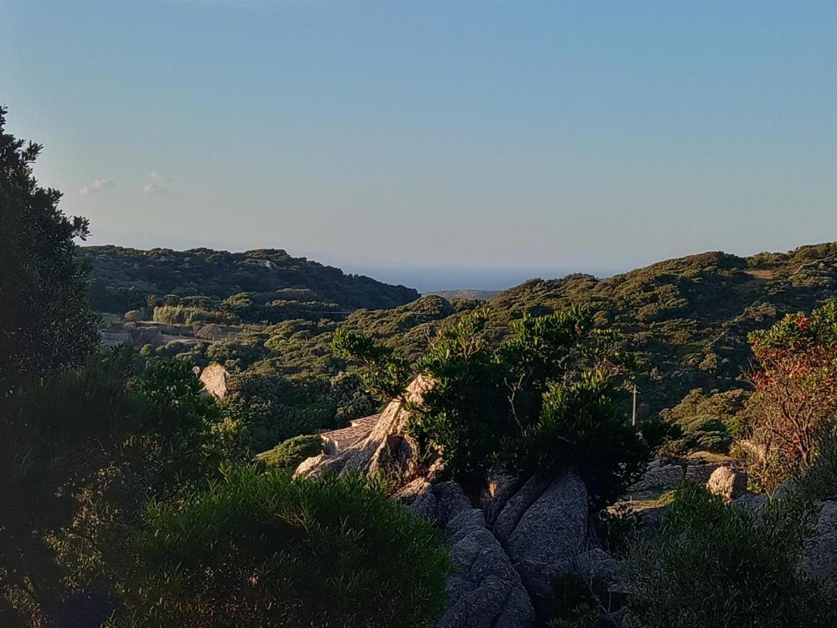 La Cera Farm Camping B&B Santa Teresa Gallura Dış mekan fotoğraf