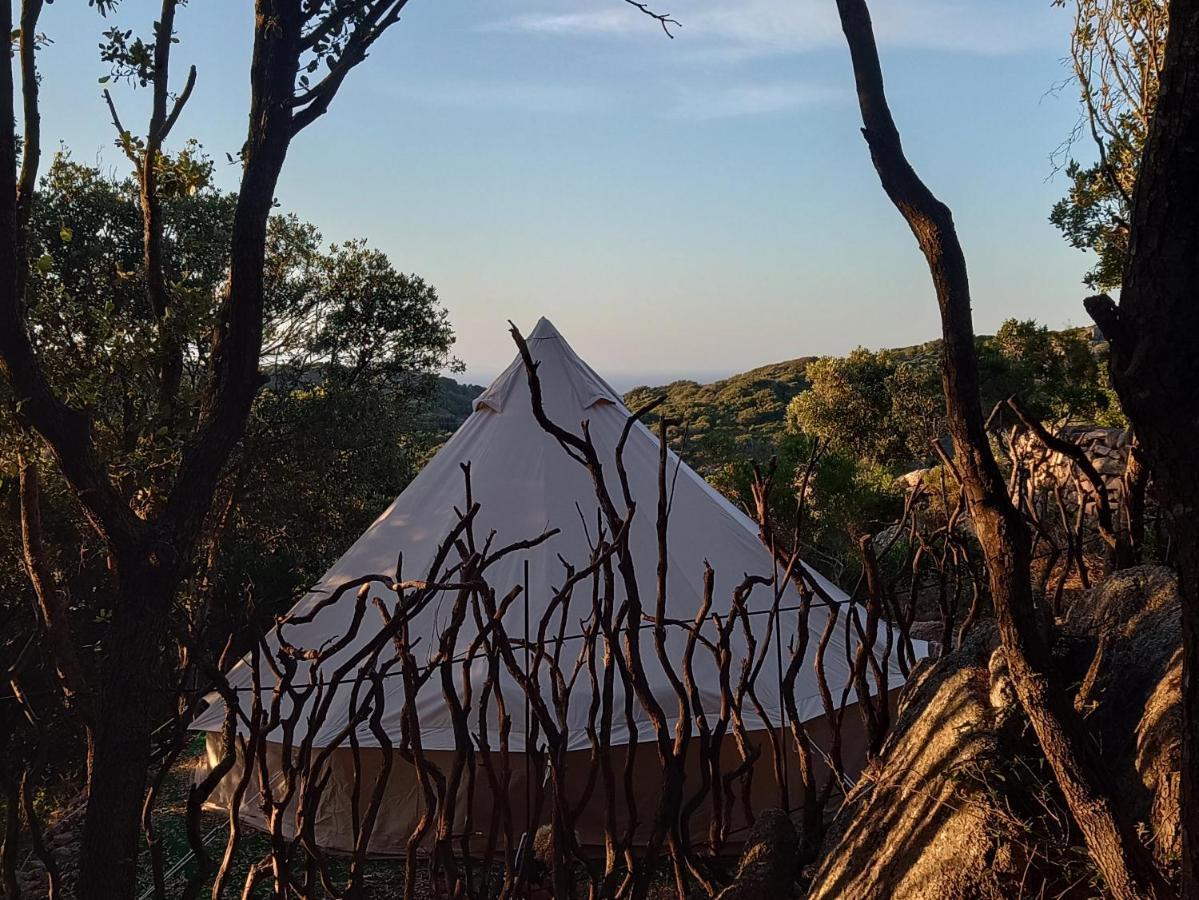 La Cera Farm Camping B&B Santa Teresa Gallura Dış mekan fotoğraf