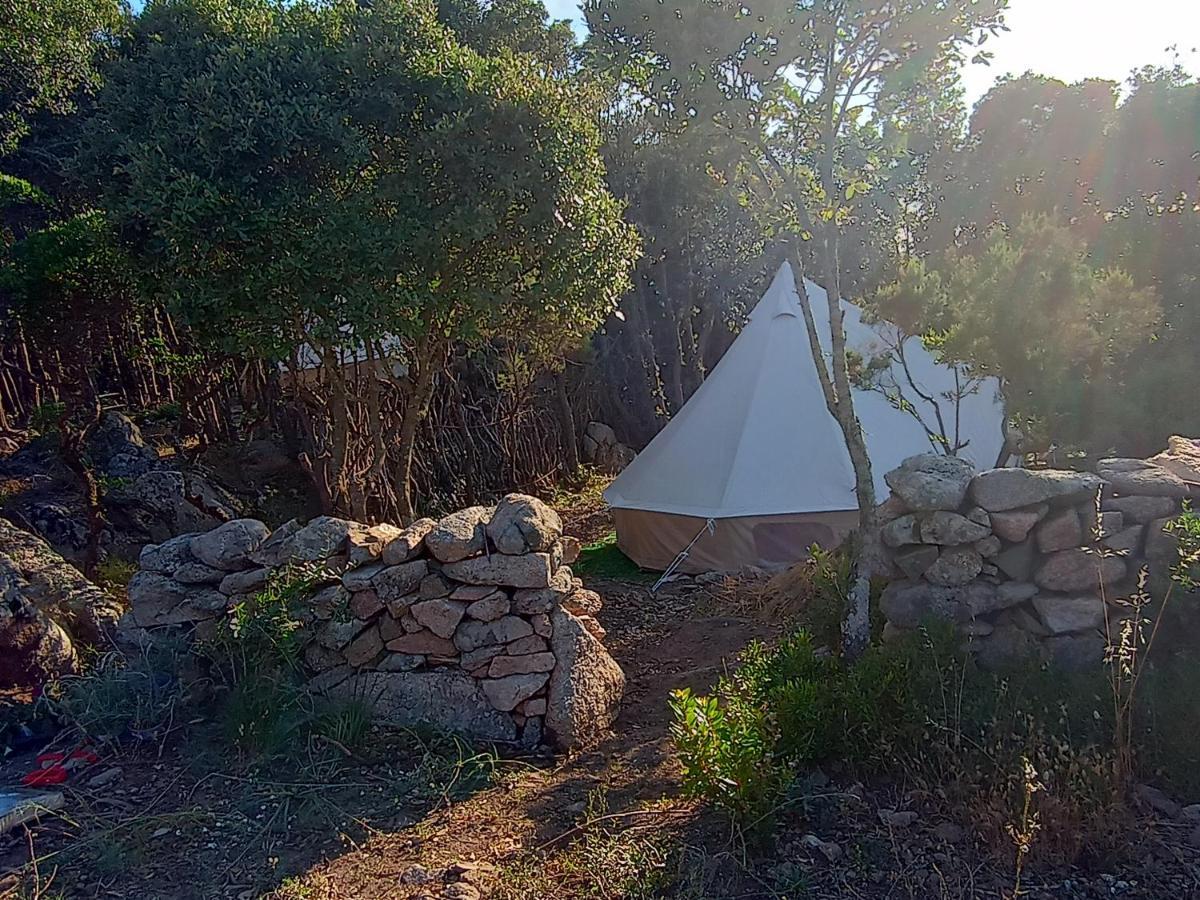 La Cera Farm Camping B&B Santa Teresa Gallura Dış mekan fotoğraf