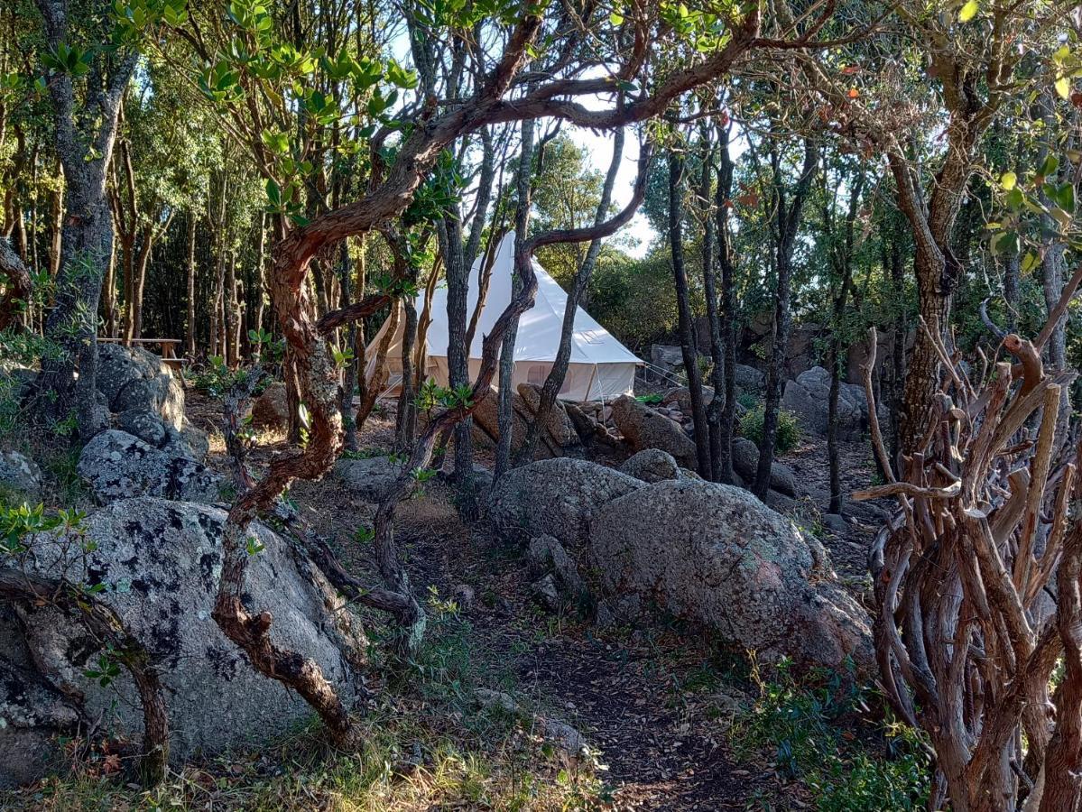 La Cera Farm Camping B&B Santa Teresa Gallura Dış mekan fotoğraf