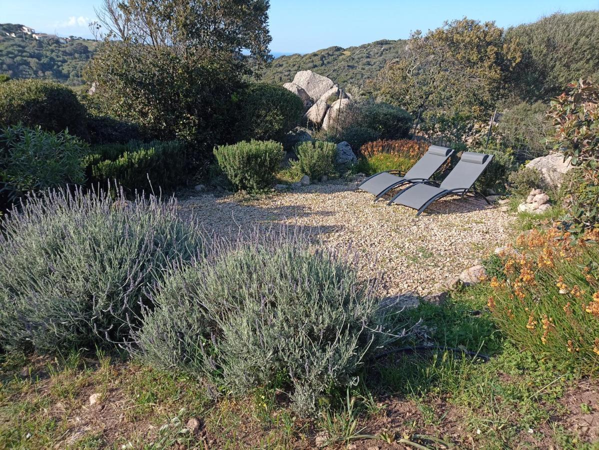 La Cera Farm Camping B&B Santa Teresa Gallura Dış mekan fotoğraf