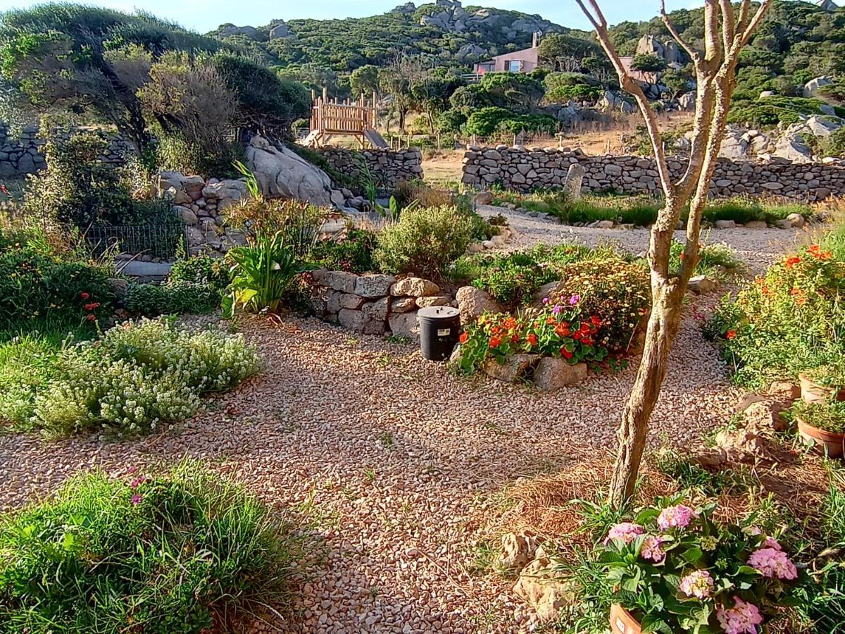 La Cera Farm Camping B&B Santa Teresa Gallura Dış mekan fotoğraf