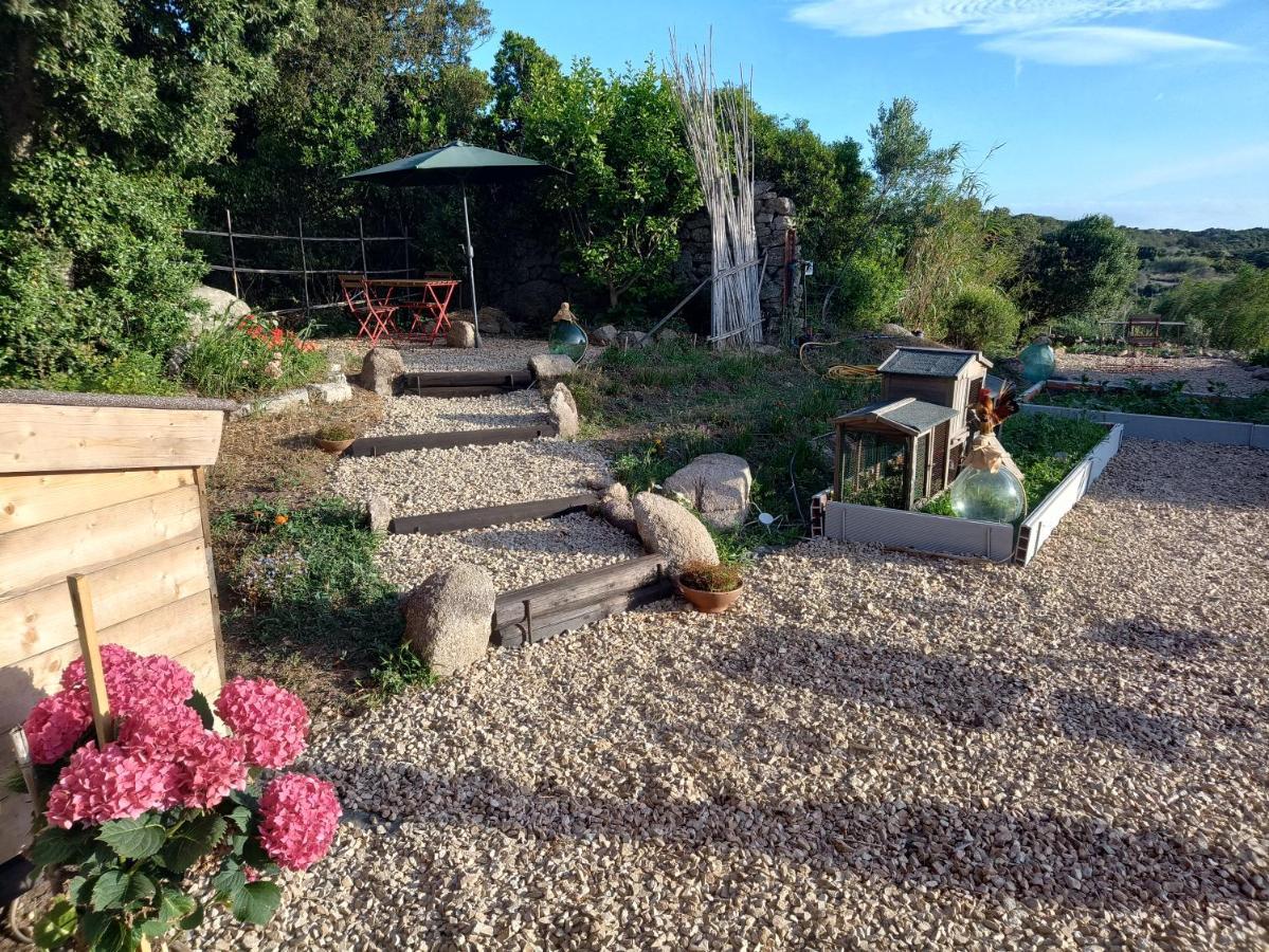 La Cera Farm Camping B&B Santa Teresa Gallura Dış mekan fotoğraf