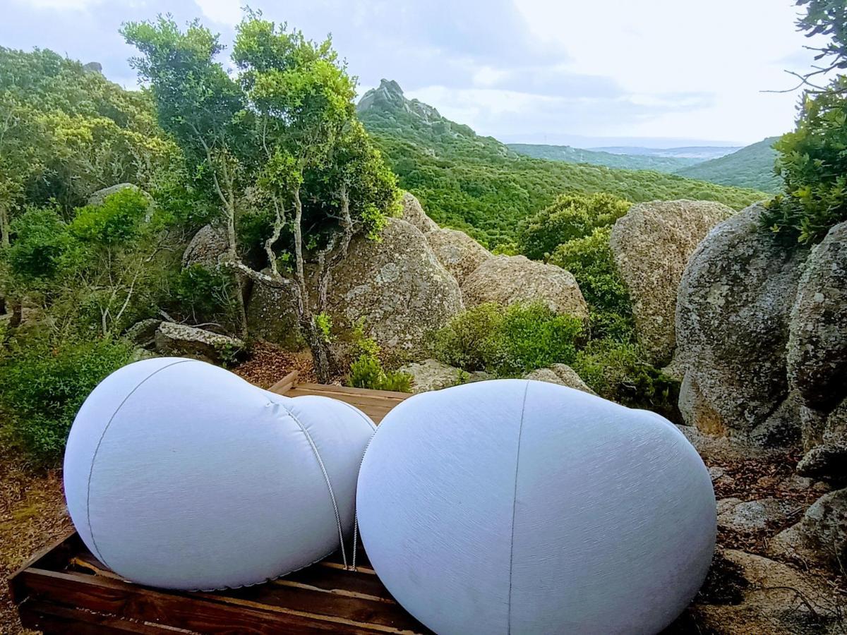 La Cera Farm Camping B&B Santa Teresa Gallura Dış mekan fotoğraf
