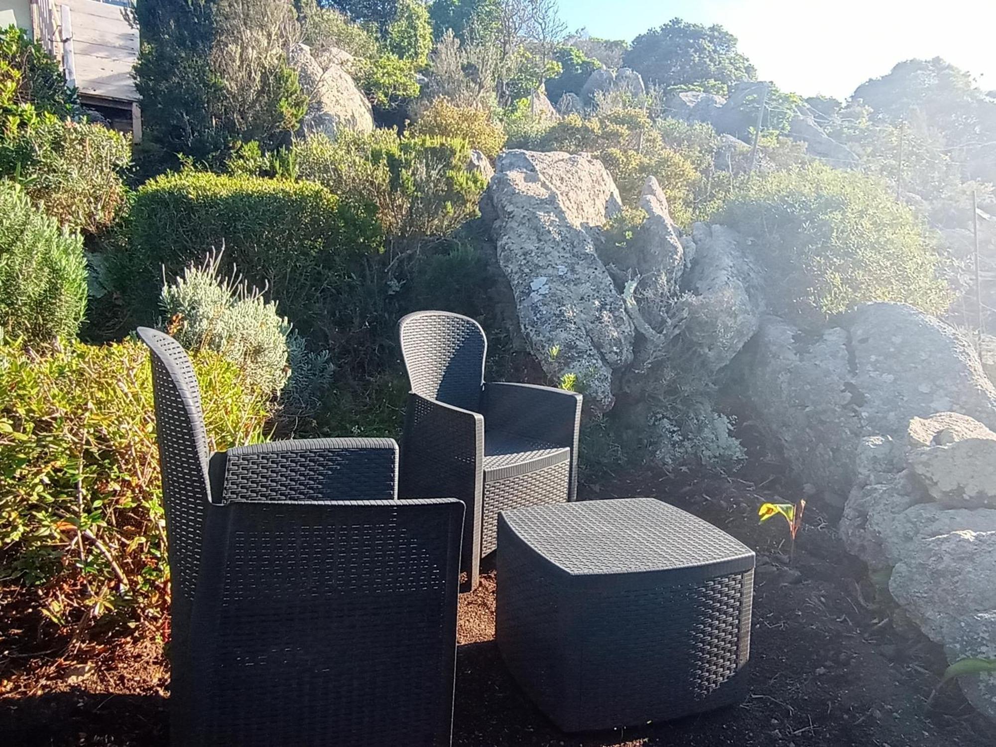 La Cera Farm Camping B&B Santa Teresa Gallura Dış mekan fotoğraf