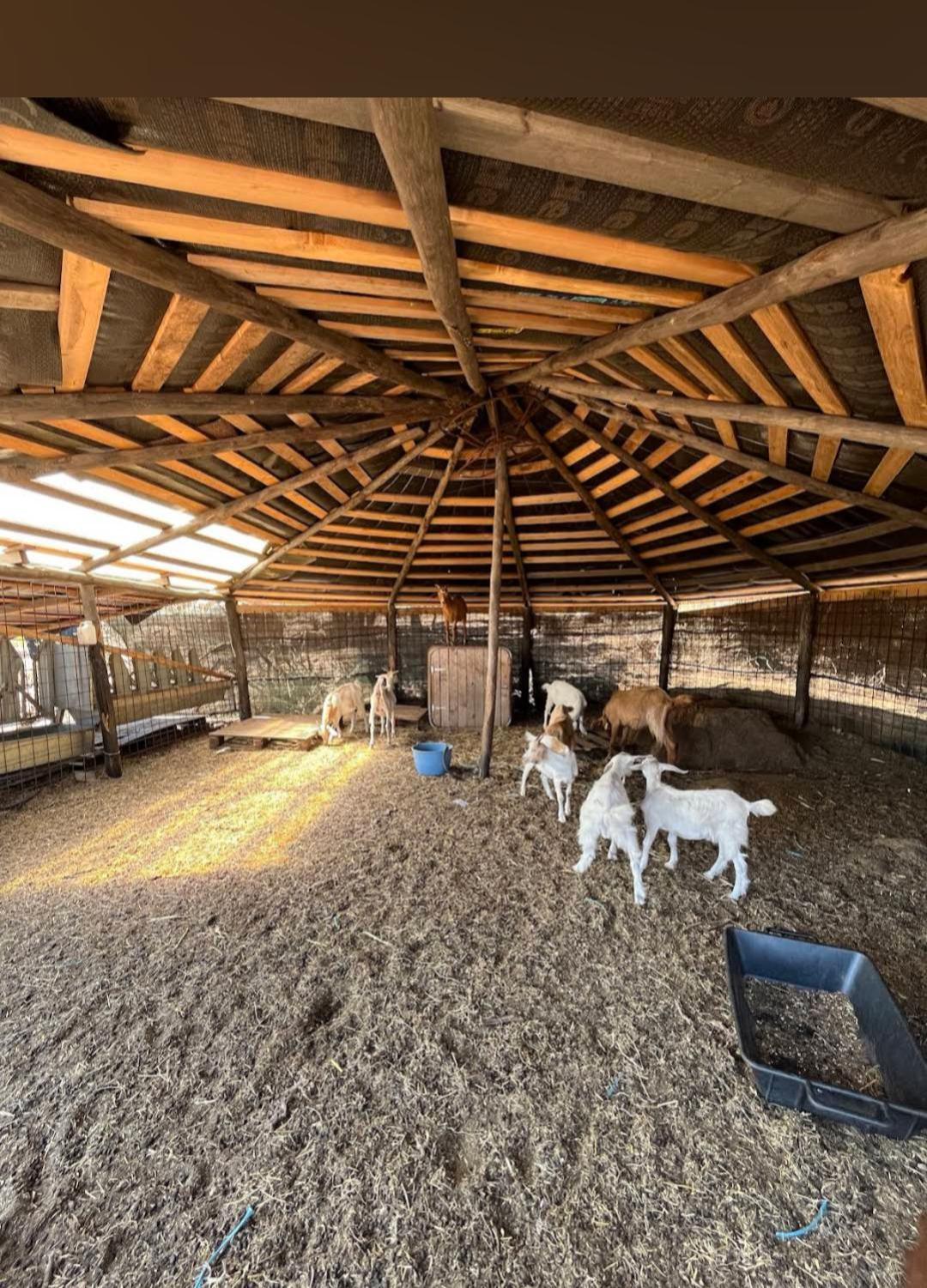 La Cera Farm Camping B&B Santa Teresa Gallura Dış mekan fotoğraf