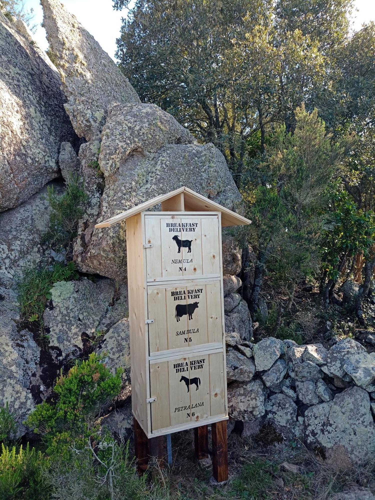 La Cera Farm Camping B&B Santa Teresa Gallura Dış mekan fotoğraf