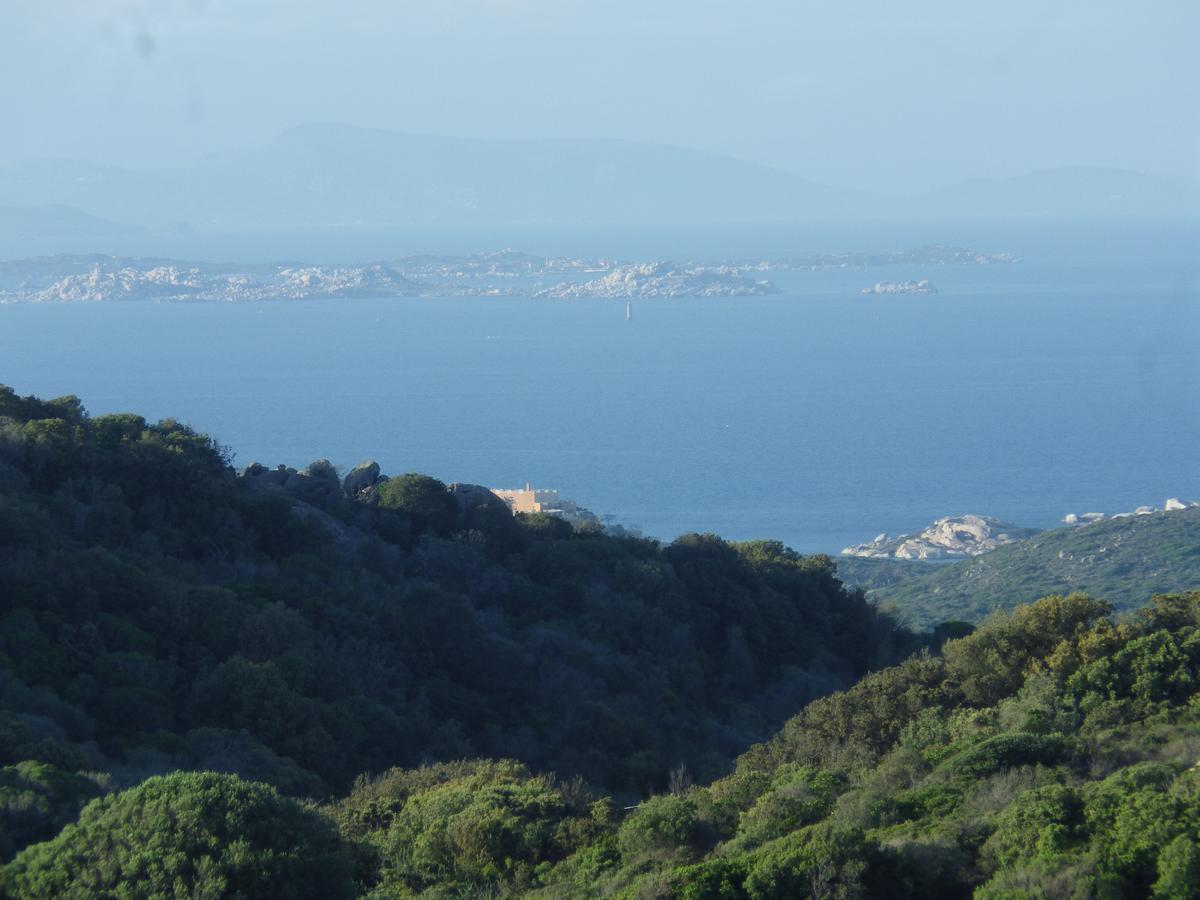 La Cera Farm Camping B&B Santa Teresa Gallura Dış mekan fotoğraf